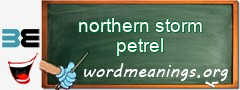 WordMeaning blackboard for northern storm petrel